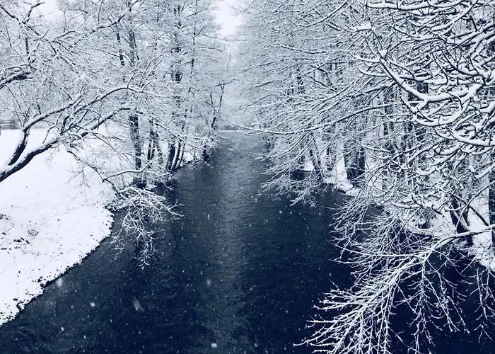 Casasmart // Am Harz Tatil Evi Nordhausen